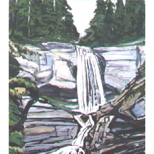 Chute du Pichiour - Format 100 x 50 cm Acrylique et encre sur toile