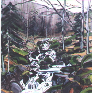 Torrent en vallée d'Aspe - format 30F (92 x 73 cm) Acrylique et encre sur toile