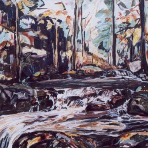 Haut de la grde cascade ,début automne (Mortain) - Format 20F( 73 x 60 cm) Acrylique et encre sur toile