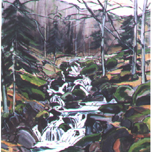 Torrent en vallée d'Aspe  - format 30F (92 x 73 cm) Acrylique et encre sur toile