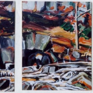 Diptique ,site de la grande cascade en automne (Mortain) - Format 2x6F 2x(41x33 cm) Acrylique et encre sur toile